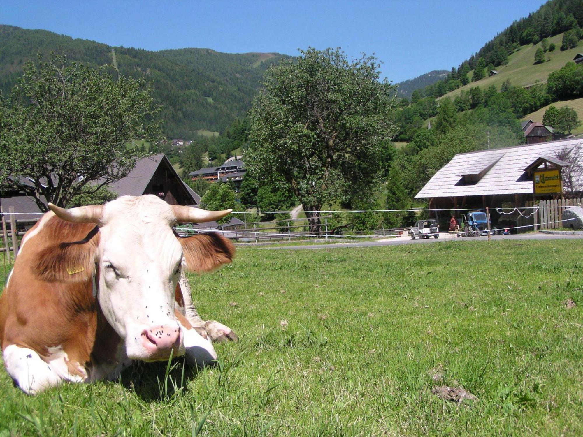 Apartament Unterwirt Bad Kleinkirchheim Zewnętrze zdjęcie